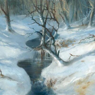 FROZEN FOREST BROOK 11