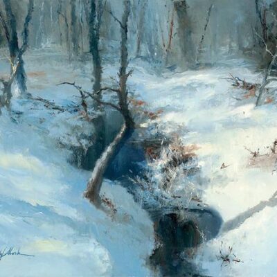 FROZEN FOREST BROOK